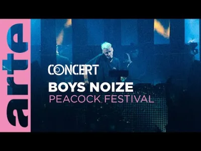 KosmicznyPaczek - Boys Noize - Peacock Festival
Performance filmée le 10 septembre 2...
