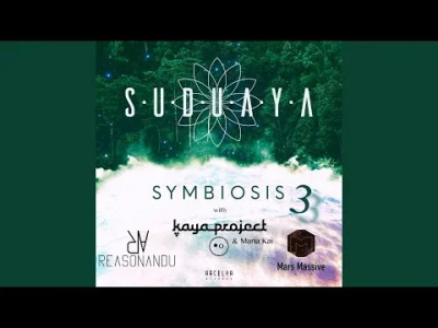 kartofel322 - Suduaya - moving forward

#muzyka #psychill #ambient #psybient #suduaya