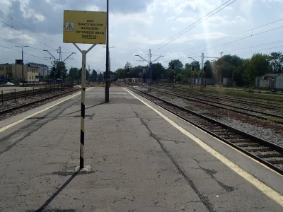 Aleale2 - Widok z peronu tego lata w Kielcach 
#kielce #bieda #swietokrzyskie
