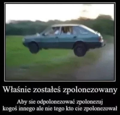 Revador - #humorobrazkowy #heheszki #polonez