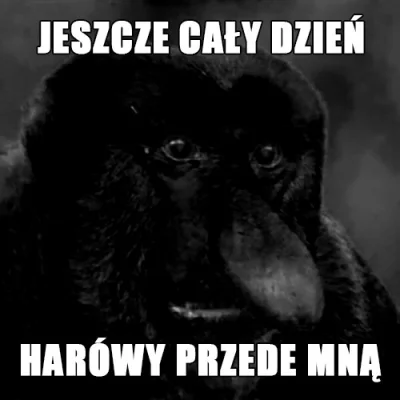 drogba90 - Ehh byle do czternostej i weekend dla chłopa pozdrawiam dobrych chłopaków ...