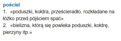 pokpok - Czy nie denerwuje was czasami brak precyzji w j. polskim?
#jezykpolski