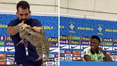 brunetroll089 - zemsta na Brazylii tego kota z konferencji ( ͡° ͜ʖ ͡°)
#mecz