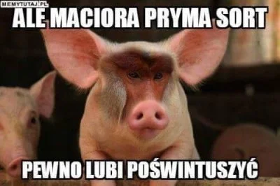 Kantorwymianymysliiwrazen - @Fracture: Maciorowska, w sumie się zgadza z wyglądu.(⌒(o...