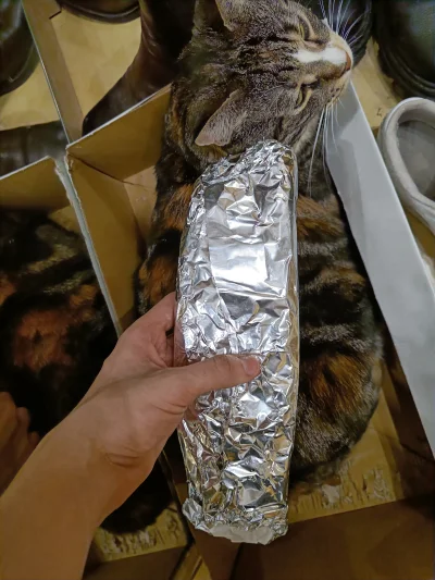 frugASS - Będe jadł kebaba kot dla skali ᕙ(✿ ͟ʖ✿)ᕗ

#kebab #pokazkota #koty #kotki