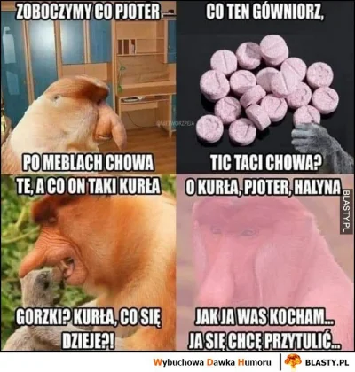 Brakus - #narkotykizawszespoko
Tak to jest xd