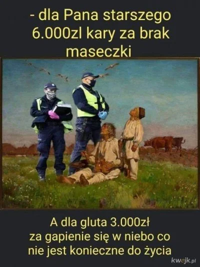 100-TVarzyGrzybiarzy - @100-TVarzyGrzybiarzy: