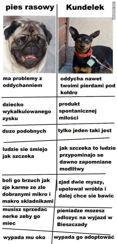 Chodtok - no jakby pisać podobne rzeczy o ludziach to brzmiałyby dość hmmmm..... kont...