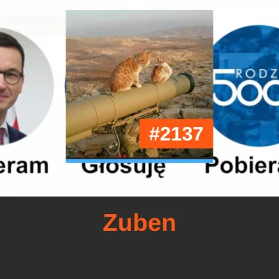 b.....s - @Zuben: to Ty zajmujesz dzisiaj miejsce #2137 w rankingu! 
#codzienny2137mi...