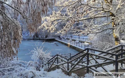 KoszalinCity - Hej #Koszalin,

#zima potrafi być piękna, i taka właśnie jest tego r...
