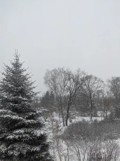 sna_t - szaruwa #!$%@? dzień 2, tyle śniegu #!$%@?ło
#widokzkuchni #widokzokna