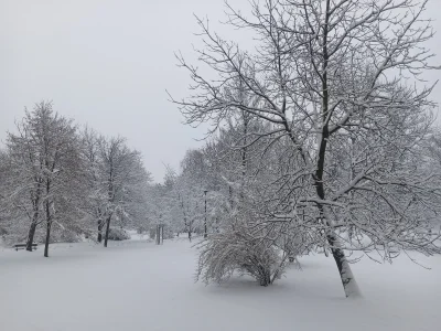 ItsGrN - Niech już tak zostanie do lutego ʕ•ᴥ•ʔ

#zima #krakow #pogoda