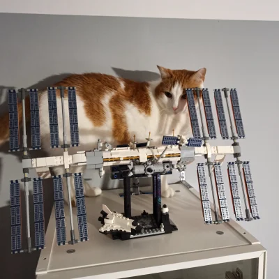 M_longer - Rudolf zastanawia się, czy lecieć na ISS #pdk 

#koty #pokazkota #lego #ko...