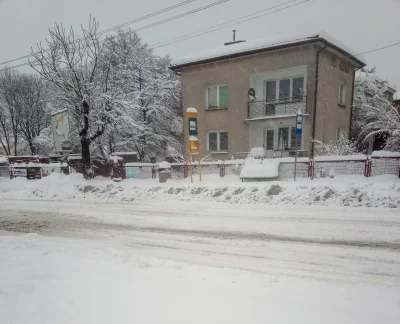 Perla_Export - Ładnie spadł śnieg. A za tydzień odwilż i na święta pewnie będzie desz...