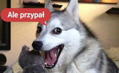 Kantorwymianymysliiwrazen