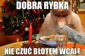 Rolnikt - @pieczonyszczurz_ogniska: .