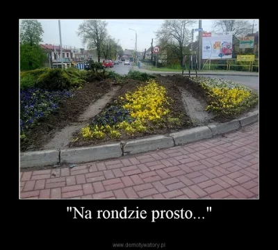 d.....r - na wiosnę wszyscy w podatkach zapłacimy za renowację trawników :) Zdjęcie p...