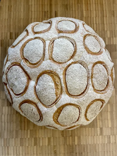 neales - @neales: Chleb na zakwasie



Więcej zdjęć na insta https://www.instagra...