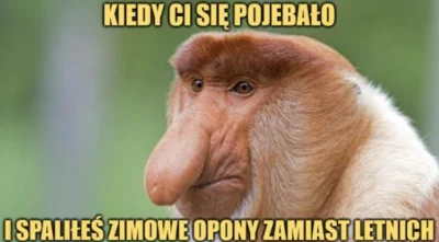 KosmicznyPaczek - #humorobrazkowy #zima #heheszki #samochody #opony #polak #nosaczsun...