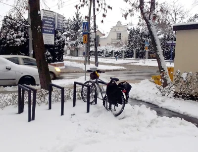 lavinka - Dziś normalnie jeździłam rowerem, niestety za dużo słonej brei, a DDRy były...