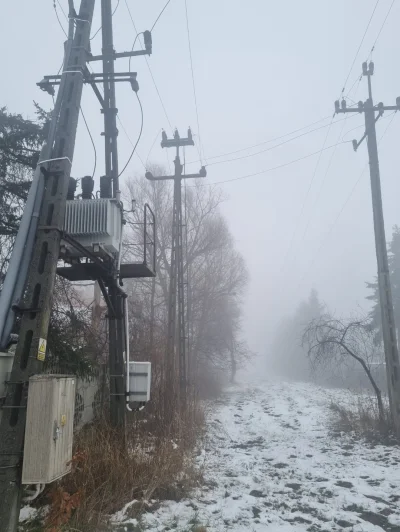 N331 - Działka mojego wujka od płotu do płotu sąsiadów aż po horyzont. I nielegalna s...