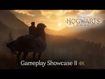 janushek - Hogwarts Legacy - Gameplay Showcase II
Drugi showcase i kolejne 45 minut ...