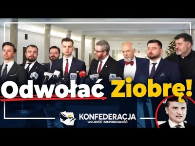 L3stko - Krotko z Zerem.

#polityka #konfederacja #bekazpisu