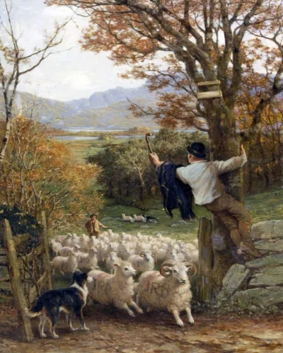 wfyokyga - Można sobie policzyć owieczki, jak ktoś ma problem ze snem ( ͡° ͜ʖ ͡°)

Ph...