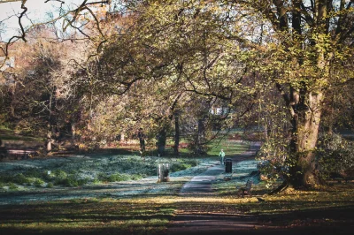 lebele - Mroźny St George Park w Bristolu - Anglia 

#fotografia #natura #podroze