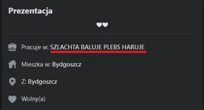 Pirat_Barnaba - Jest jakiś moduł tworzenia patusiarskich profili czy oni używają świa...