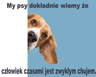 januszzczarnolasu - > Wyszli na spacer z dzieckiem. Przywiązali psa do ogrodzenia i o...