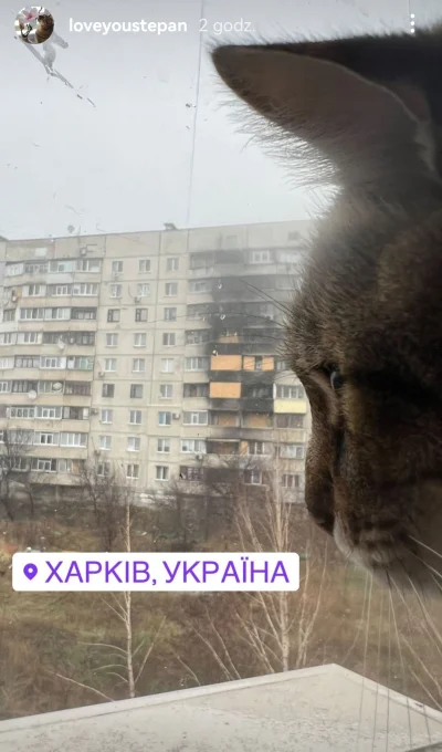 vateras131 - Bestia wróciła do Charkowa.
#codziennystepan