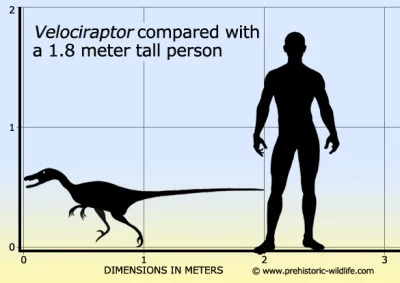 MshL - Mało kto wie, że przeciętny velociraptor mierzył zaledwie 179cm wzrostu


#...