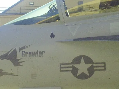 Gorion103 - E/A-18G Growler z kill markiem F-22.


Story behind

#samoloty #mysliwce ...