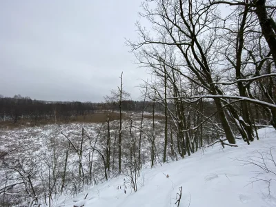 R.....y - Poszedłem „skrótami” przez bagna no i nadłożyłem sporo drogi przez ogromne ...