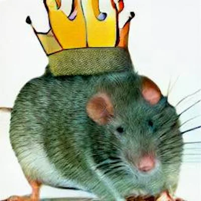 sebagleba - krul sczurow!
#konkursnanajbardziejgownianymemznosaczem