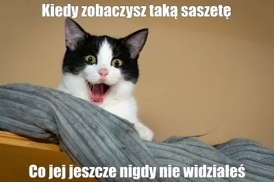 Quisto - #kitku #koty #memy #heheszki #oc
