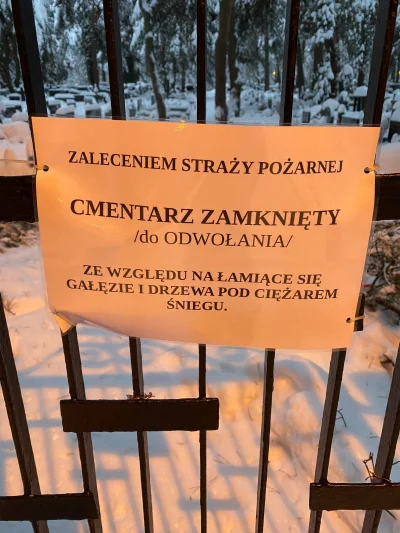 Wezwoguleicstont - No i nie zapaliłem zniczy ( ͡° ʖ̯ ͡°) #cmentarz #zima #krakow