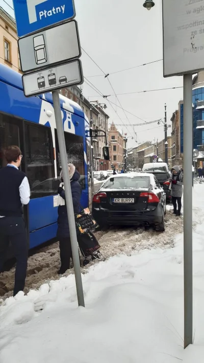DanielPlainview - Kilka zatrzymań tramwajów w ciągu dnia na jednej ulicy bo kierowcy ...