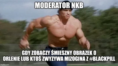 PoteznyAsbisnik - Nikt nie interweniuje tak szybko jak czołowy moderator wykopu gdy k...