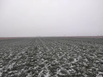 T.....e - Pustkowie samotności aż po sam horyzont gdzie stoi stara rudera. I tak samo...