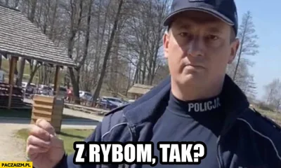 n.....e - > policjant wykonuje tylko swoją pracę

@PoteznyMajkel: