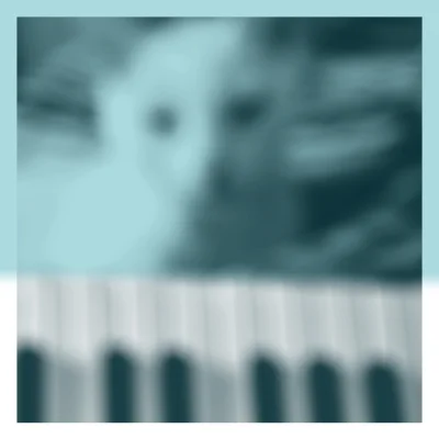 mala_kropka - Cykl kocie okładki 2022:
Peter Broderick – Piano Works Vol. 1 Floating...