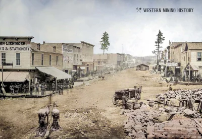 myrmekochoria - Leadville Colorado 1879