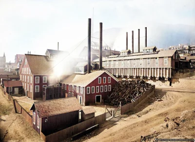 myrmekochoria - Consolidated Virginia Mill 1876