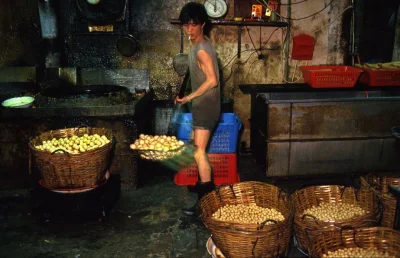 myrmekochoria - Greg Girard, Pracownik w fabryce kulek rybnych, Kowloon Walled City, ...