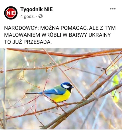 B.....n - ( ͡° ͜ʖ ͡°)( ͡° ͜ʖ ͡°)
#ukraina #heheszki #humorobrazkowy #tygodniknie #ne...