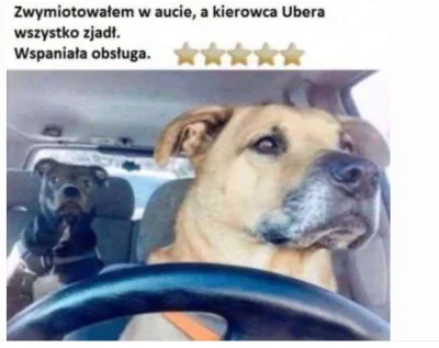 Vanderwill - #uber #heheszki #humorobrazkowy #zwierzaczki #zwierzeta #psy