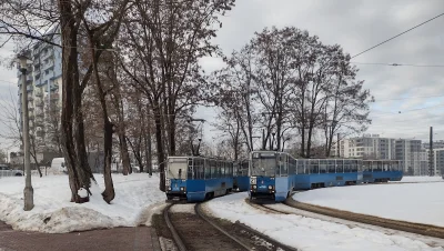 DerMirker - Żadnych krakowiaków ani lajkoników, po prostu dwa Akwaria cieszące się ży...