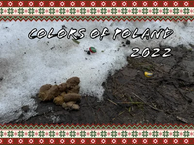 ivan777 - KONKURS FOTOGRAFICZNY!!!!

COLORS OF POLAND 2022

Do wygrania PISIONT Z...